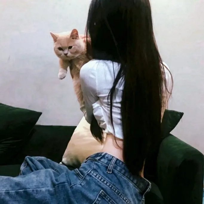 吸血鬼马上死第二季